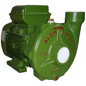 Resim Alem Bertola C40 1Hp Monofaze Santrifüj Pompa 