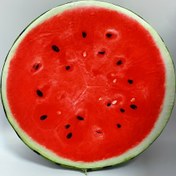 Resim 1 adet Gerçekçi Karpuz Yastık Kılıfı, 38.0cm - Canlı Kırmızı Siyah Tozlu, Yeşil Kabuk Tasarımı Ev Dekoru, Ofis, Araba ve Parti Aksesuarları için Mükemmel, Halloween, Şükran Günü, Noel, Yeni Yıl, Sevgililer Günü, Anneler Günü ve Karnaval, Parti Aksesuarı | Canlı Yastık Kılıfı | Dokuma Dokusu, Karpuz Dekoru 