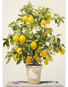 Resim Saksıda Limon Ağacı - Art Print - 50x70 cm 