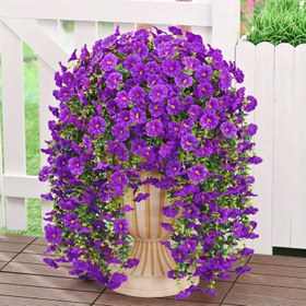 Resim 2 adet UV Dirençli Asılı Petunia - Eukaliptüs Yapraklı Canlıca Fuchsia Faux Çiçekler, Gerçekçi Sabah Güneşi Tasarımı, Bakımı Gerektirmez, Herbirisi 70.1 cm, Dış Mekan Veranda ve Avlu Dekoru İçin İdeal, Dış Mekan Dekoru | Canlı Çiçek Gösterisi | Dayanıklı Plastik Çiçekler, Çiçek Dekorasyonları 