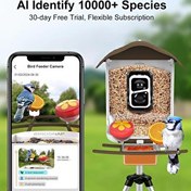 Resim BirdSnap PAV Akıllı Güneş Enerjili Kameralı Kuş Yemliği 2K HD Koyu Kahverengi 
