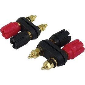 Resim İkili Gold Born Klemens 