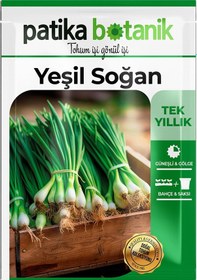 Resim 400 Adet Yerli Ata Yeşil Soğan Tohumu 
