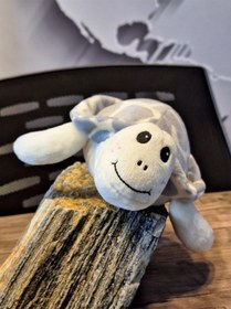 Resim Caretta Caretta Kaplumbağa Küçük Gri 