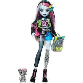 Resim Monster High Acayip Havalı Arkadaşlar Frankie Stein HXH73 