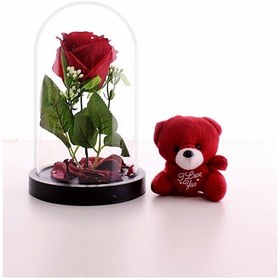 Resim Sevgiliye Eşe Sürpriz Hediye Fanusta Led Işıklı Kırmızı Gül ve Kırmızı Mini Ayıcık Set Sevgiliye STR75 