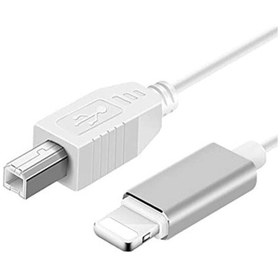 Resim Daytona ADS-501 3in1 USB B to Micro USB - Lightning - Type-C Enstrüman Kablo Çevirici OTG Kablo 