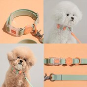 Resim Su geçirmez köpek kemer, ayarlanabilir tasma ve metal tokalı | Dayanıklı şeffaf tokalı ve kolay temizlenebilir | Küçük, orta ve büyük köpekler için (Altın Retriever, Teddy, Corgi) | Modern Pet Kemer, Metal Bağlantı ile 