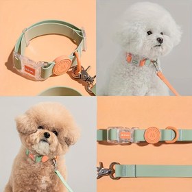 Resim Su geçirmez köpek kemer, ayarlanabilir tasma ve metal tokalı | Dayanıklı şeffaf tokalı ve kolay temizlenebilir | Küçük, orta ve büyük köpekler için (Altın Retriever, Teddy, Corgi) | Modern Pet Kemer, Metal Bağlantı ile 