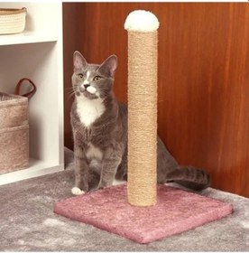 Resim Renkli Kedi Tırmalama Tahtası, Dayanıklı Ve Eğlenceli 