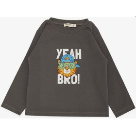 Resim Breeze Girls & Boys Erkek Çocuk Uzun Kollu Tişört Şapkalı Havalı Aslancık Baskılı 1-4 Yaş, Füme-füme Füme 