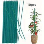 Resim 10 Adet Dayanıklı Bambu Bitki Direkleri Güçlü Destek İçin – İç ve Dış Mekan Bitkileri, Çiçek Düzenlemeleri ve DIY Süslemeler İçin Pürüzsüz Yeşil Bahçe Çubukları 