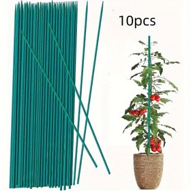 Resim 10 Adet Dayanıklı Bambu Bitki Direkleri Güçlü Destek İçin – İç ve Dış Mekan Bitkileri, Çiçek Düzenlemeleri ve DIY Süslemeler İçin Pürüzsüz Yeşil Bahçe Çubukları 
