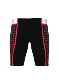 Resim Arena Icons Erkek Yüzücü Mayosu 006675551 Çok Renkli 