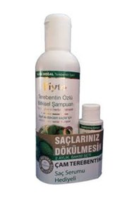 Resim Fiyto Çam Terebentin Özlü Bitkisel Şampuan 500 ML 