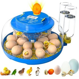 Resim Altın Kuluçka-wonegg 18'li Tam Otomatik Kuluçka Makinesi 