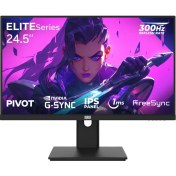 Resim Dragos Elıteseries E245FHD300 1ms Fhd 300Hz 1920x1080 24.5" Freesync G-Sync IPS Pivot Oyuncu Monitörü 