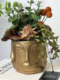 Resim Gold Adler Saksı (K) 
