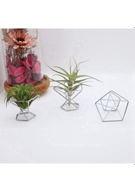 Resim Zcjb 4807 Pack 5 Hava Tesisi Tutucusu Hava Tesisleri Tutucuları Ekran, Pembe Altın-73909 