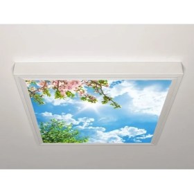Resim Gök Panel 60X60 LED Panel Aydınlatma Armatür Avize Sıva Üstü Desenli Tekli 46510421SU 