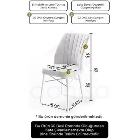 Resim Canisa Concept Flex Serisi, Üst Kalite Mutfak Sandalyesi, Gürgen Siyah Ahşap Ayak, Krem Sandalye Sandalye Krem Ayaklar Siyahh 