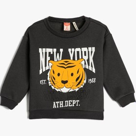 Resim Erkek Bebek Kapşonlu Sweatshirt Şardonlu Kaplan Baskılı Pamuklu 
