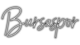 Resim Özel Tasarım : Bursaspor 