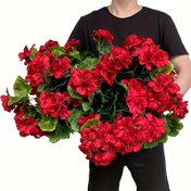 Resim 60 adet UV Dirençli Geraniums - Düğün, Nişan, Sevgililer Günü, Anneler Günü, Mezuniyet ve Daha Fazlası için Canlı Kırmızı Sahte Çiçekler - İç ve Dış Mekan Dekoru, Bahçe, Patio ve Ev Merkezi Çiçekleri için Mükemmel - İç ve Dış Mekan Dekoru | Canlı Çiçek Düzeni | Dayanıklı Çiçekler, Geranium Çiçekleri 