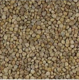 Resim Aktar Store Ispanak Tohumu 1 Kg 