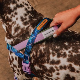 Resim Reebok x Zee.Dog Trekk Softer Walk Göğüs Tasması - L 