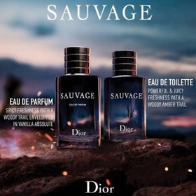 Resim Sauvage Edt 100 Ml Erkek Parfüm 3348901250146 