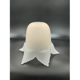 Resim Kuğulu Avize Avize Camı.somon-Mat Renkte.6,kanatlı.(E.27) 