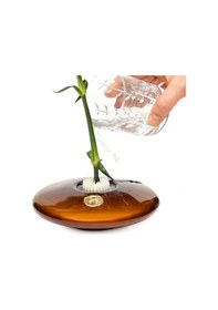 Resim Flora Design-elegance Kahverengi Cam Vazo Kahverengi 