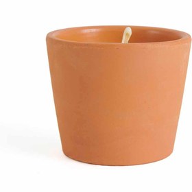 Resim KPM Citronella Mum 