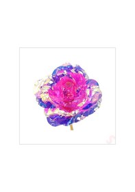 Resim Sonsuzluk Gülü, 25 Cm X 8cm - Pembe 