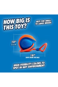 Resim Hype Store Chuckit! Rope Fetch İpli Oyun Topu 