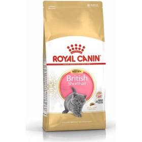 Resim Royal Canin British Shorthair Yavru Kedi Maması 2 KG 