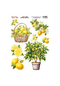 Resim Pirinç Dekopaj Kağıdı 30x42cm Pt-3800 