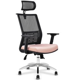 Resim Koltukstilim Twing Fileli Yönetici Koltuğu Ofis Koltuğu Diğer 