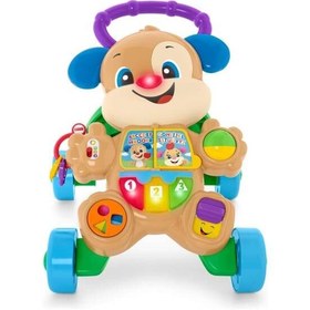 Resim Fisher Price Eğlen Öğren Türkçe ve İngilizce Eğitici Köpekçik Yürüteç FTG10 
