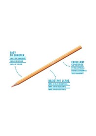 Resim Carioca Pastel Kuru Boya Kalemi 12'li 