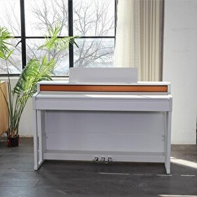 Resim Brahner Dijital Piyano BR-200 WH 