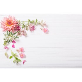 Resim FaEla Accessories Fa Etiket Fotoğraf Çekim Fonu 50x70 Cm 