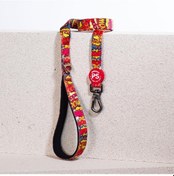 Resim Pawstar Wow Köpek Gezdirme Kayışı Çok Renkli 2 x 120 CM Çok Renkli 