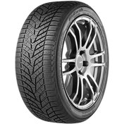 Resim Yokohama 255/40R19 100V Bluearth Winter V905 Kış Lastiği 2024 