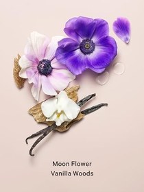 Resim Victorias Secret Midnight Bloom Vücut Spreyi 250 ml 