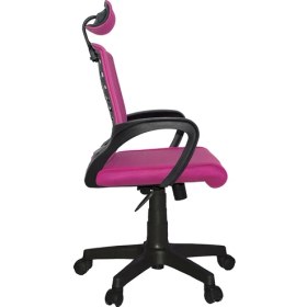 Resim Türksit Karizma File Müdür Koltuk Plastik Ayak Mavi 