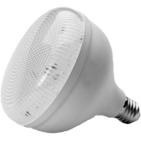 Resim Noas 20w Krıstal Torch Ampul Beyaz 