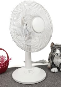 Resim Masa Üstü Vantilatör Zaman Ayarlı Salınımlı 3 Kademeli Vantilatör 30cm Çap Beyaz NC012 