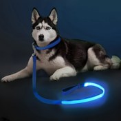 Resim 1 adet 120 cm / 4 ft Gece Güvenlik Flaşör Işıklı Evcil Hayvan Tasma LED Pil Köpek Tasması Geceyi Aydınlatın ve Bir LED Köpek Kayışı ile Görünür Tutun 